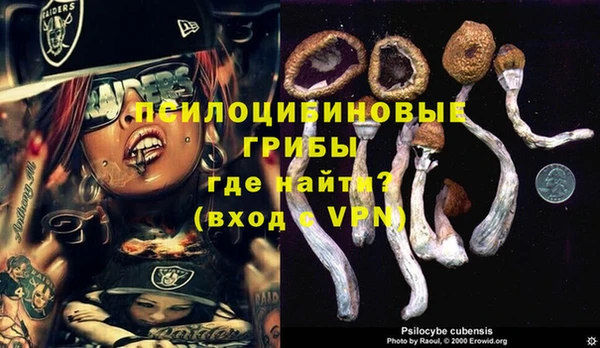 экстази Баксан
