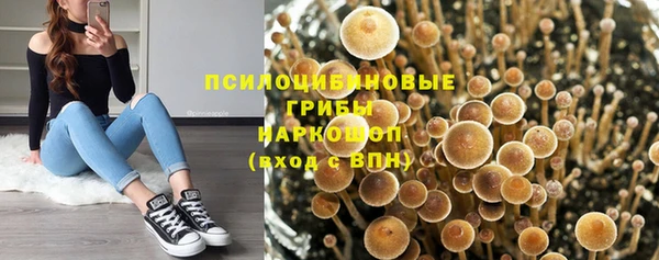 экстази Баксан