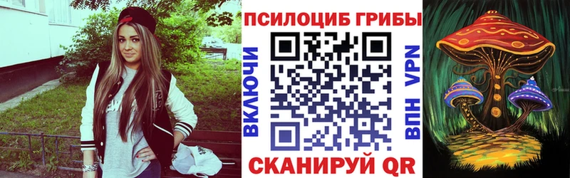 Галлюциногенные грибы Cubensis нарко площадка состав Вытегра